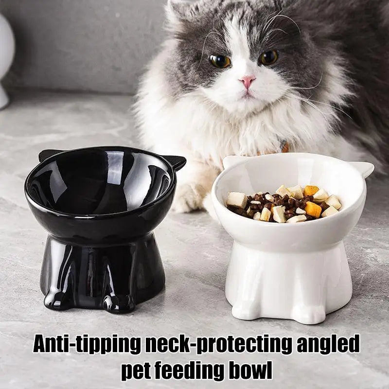 Raised Cat Bowl Anti-tipping 15 Degree Slant Tall Legs for Eating and Drinking Reduces Neck Strain in Multiple Room Settings Vue