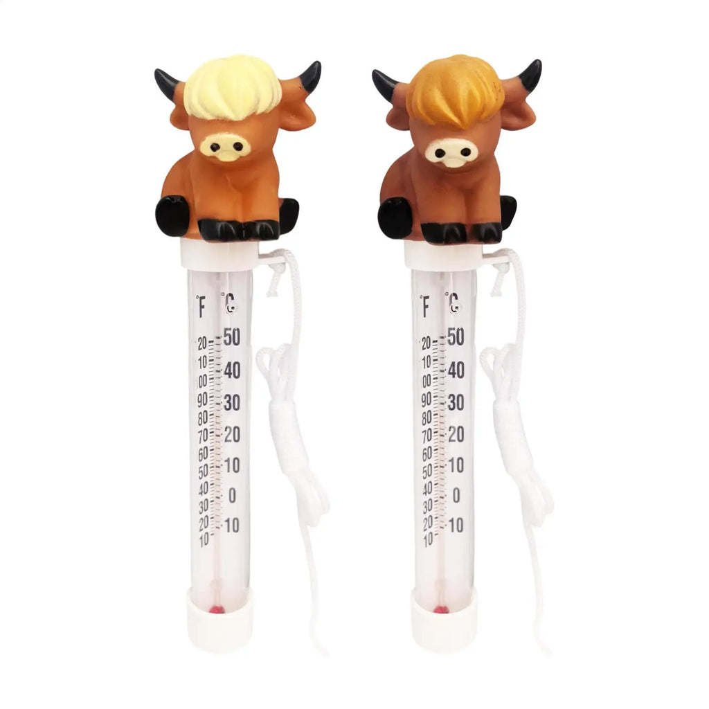 Floating Pool Thermometer, Large Easy Read Temperature Gauge, Funny Swimming Pool Temp Monitor for Outdoor Backyard Pond Spa Vue