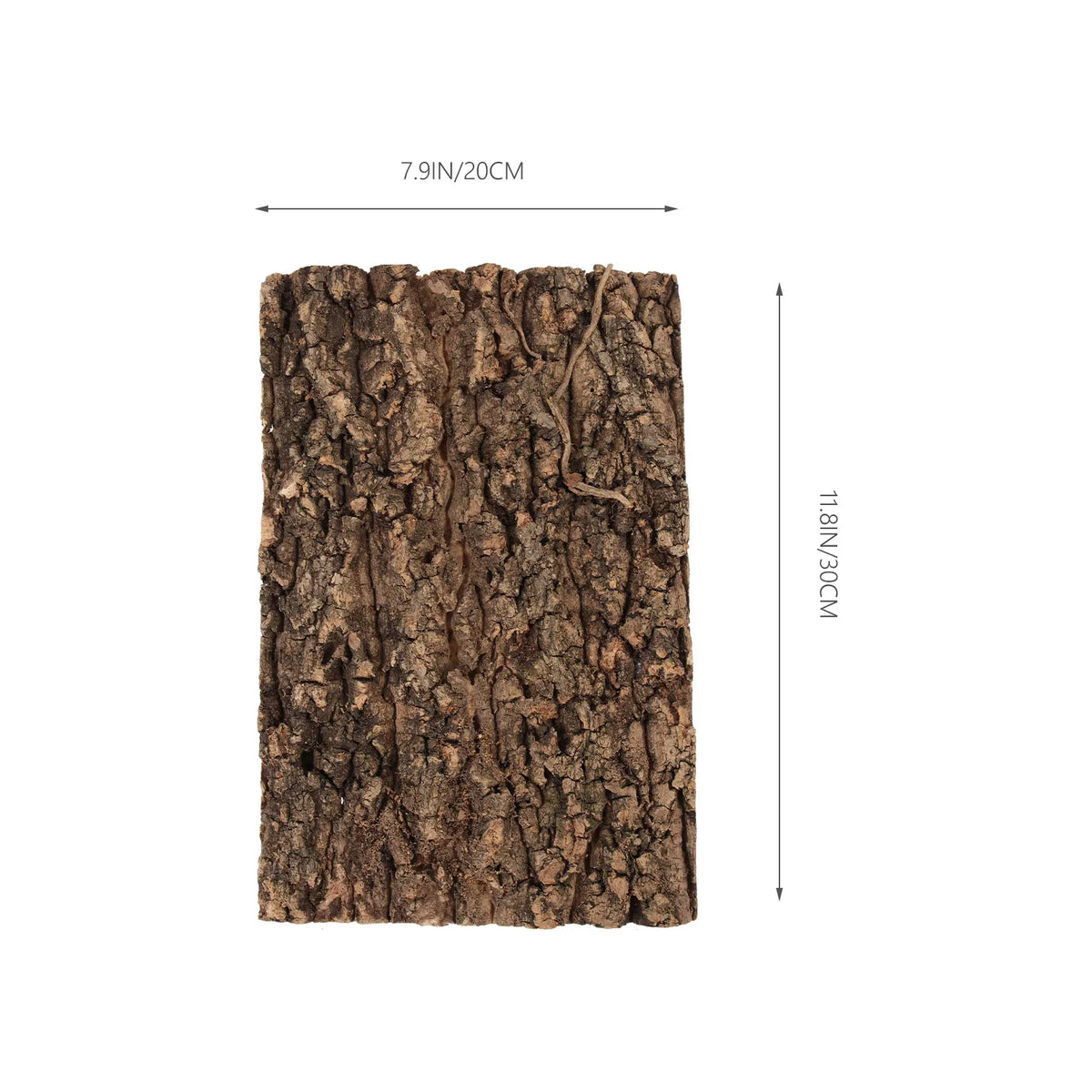 Reptile Bark Fogger Reptisoil Decor Animal Sea Turtle Cork for Reptiles Climb Platforms Tree Snake Climbing Vue 20x30cm