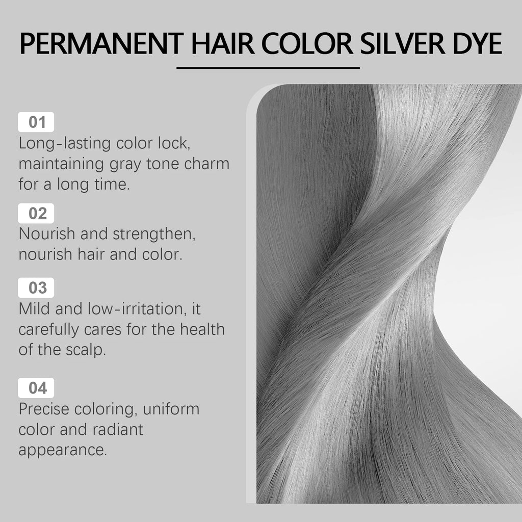 Hoegoa Gray Hair Dye, Light-Colored Silver, Punk Style, Fashionable Professional Hair Coloring Cream for Women and Men Vue
