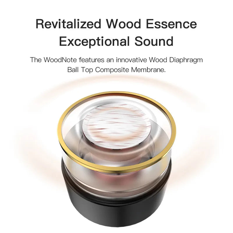 TWISTURA Woodnote HiFi Wired IEM – Wood Diaphragm Earphones Wired IEM Earphones Vue