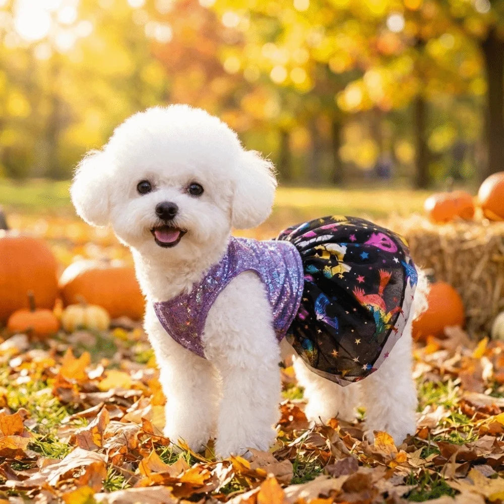 Breathable Halloween Pet Laser Dress Spider Web Pattern Soft Dog Shiny Dress Comfortable Halloween Dog Clothes Halloween Party Vue