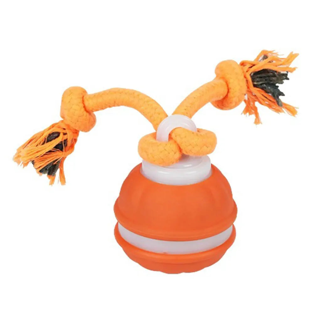 Motion-Activated USB Rechargeable Rolling Ball Dog Toy & Rope Interactive Dog Toy Vue Orange China Mainland
