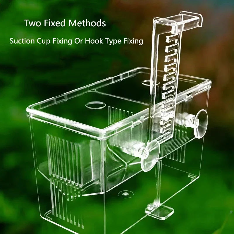 Acrylic Highly Transparent Aquarium Fish Breeding Isolation Box Fish Tank Aquarium Breeder Double Guppies Hatching Incubator Vue