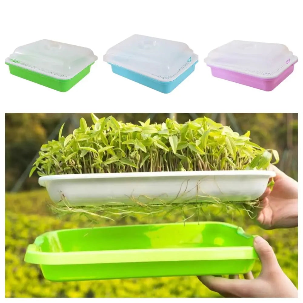 1 Set Hydroponic Plant Germination Trays Double Layer with Lid Sprouting Tray Household Insulation Nursery Plate for Microgreens Vue