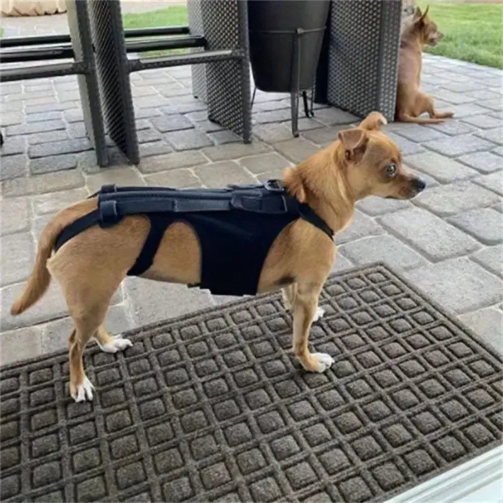 Adjustable Dog Back Support Vest Breathable Back Protector Pet Mobility Aid Comfortable Dog Back Brace Rehabilitation Vue
