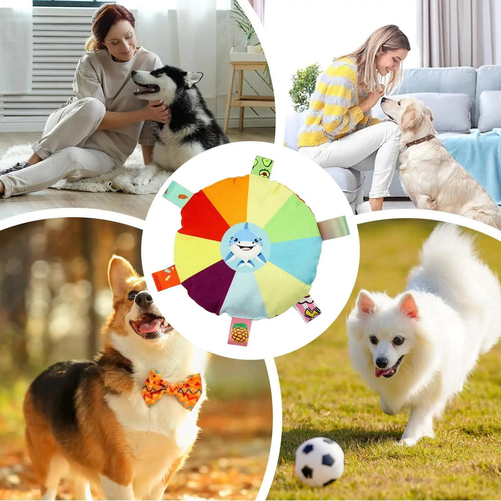 Colorful Squeaky Dog Toy with Elastic Rope, Interactive Soft Chew Toy for Indoor Outdoor, Pet Play Fetch Tug for Park Garden Vue