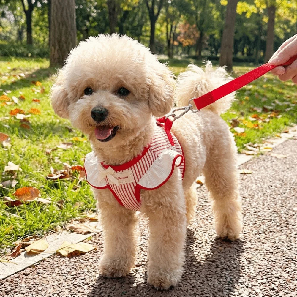 Adjustable Pet Harness Leash Comfortable Fit Escape-Proof Dog Vest Harness Lightweight Dog Collar Harness Set Outdoor Activities Vue