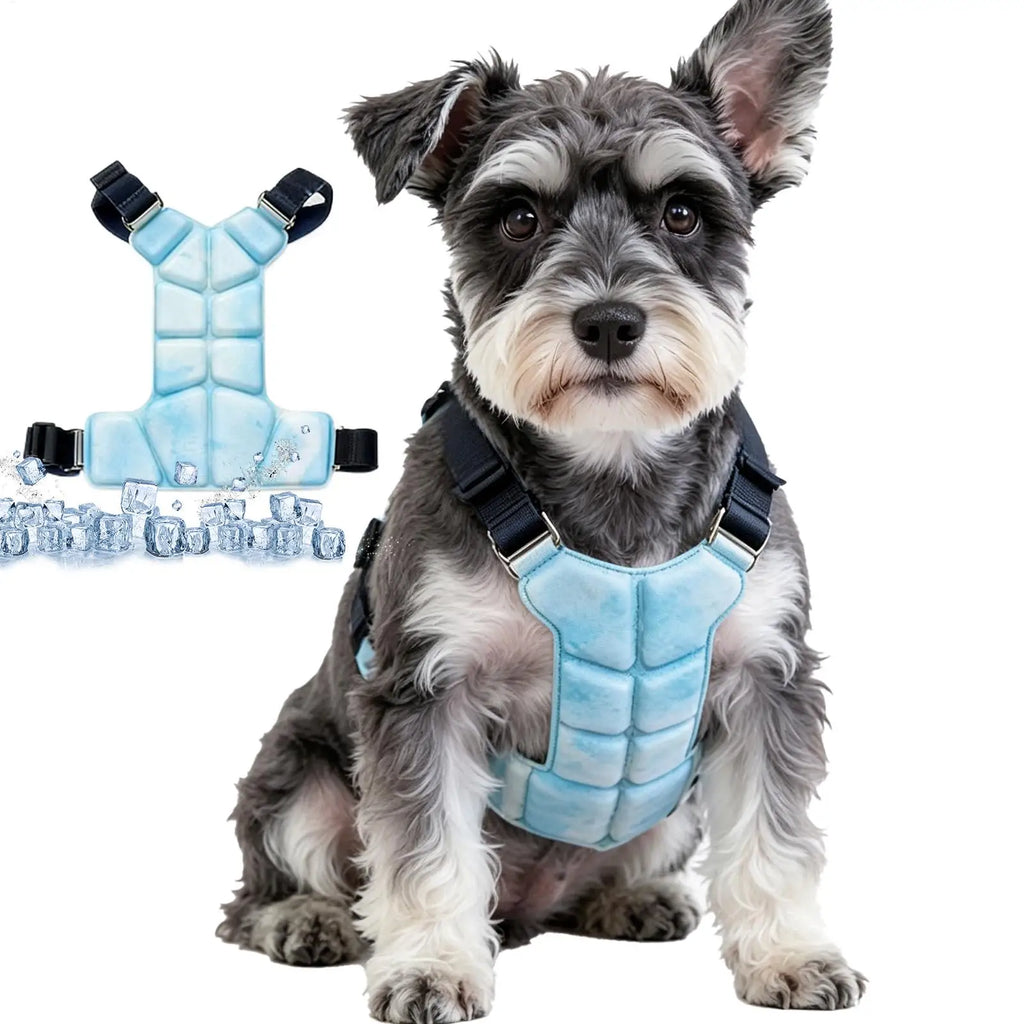 Adjustable Cooling Dog Harness Vest, Breathable Small Pet Summer Vest for Walking Training, Lightweight Cool Vest for Outdoor Vue