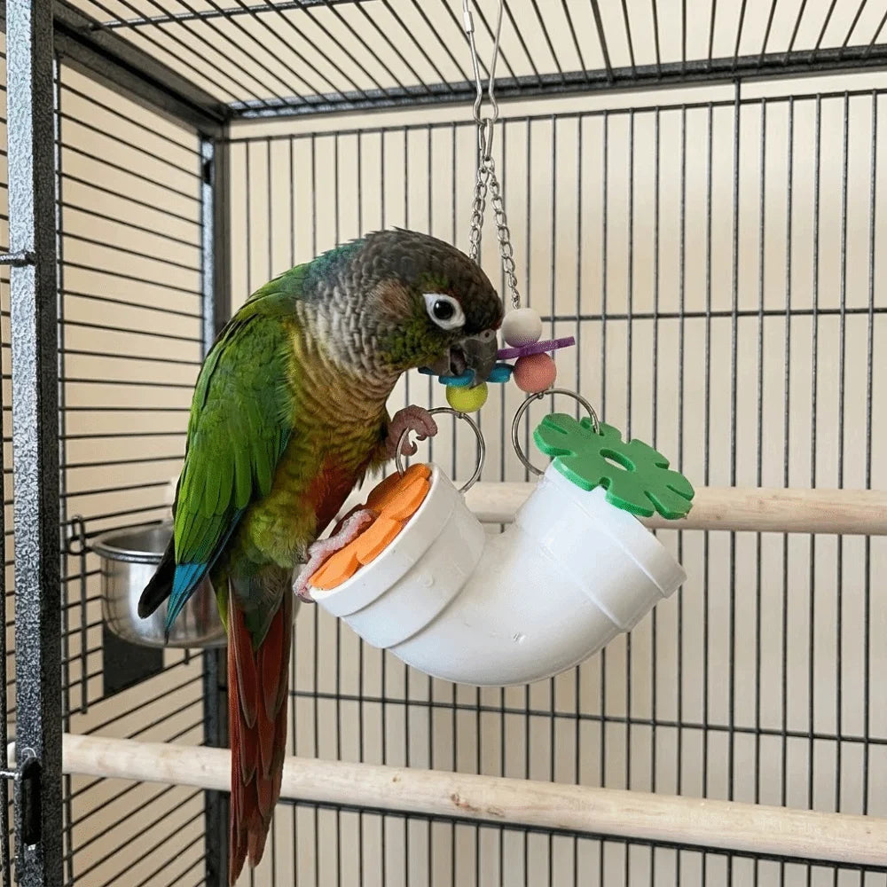 Creative Colorful Hamster Foraging Pipeline Plastic Bite Resistant Pet Bird Toys Hidden Snack Games Parrot Hanging Toys Training Vue