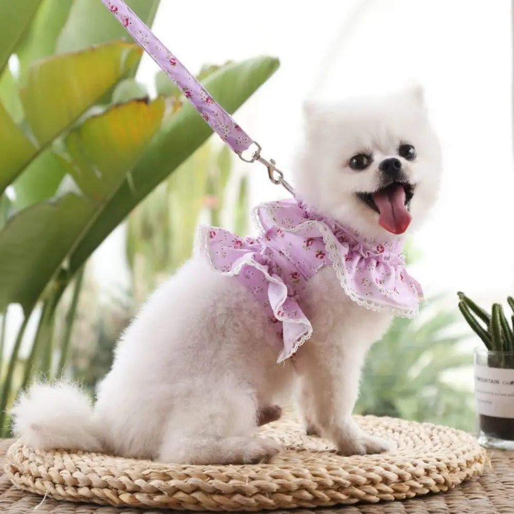 Kawaii Dog Harness Leash Set Adjustable Floral Design Pet Vest Style Harness With Leash Lace Dress Pet Chest Strap Training Use Vue