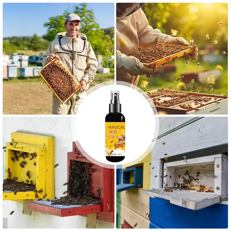 Bee Bait Natural Bait For Carpenter Bees Effective Bee Attractant Practical Labor Bee Lure Tools For Attracting Bees Hive Bait Vue