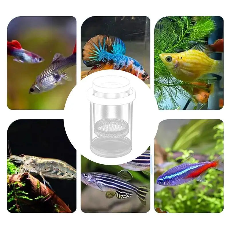 Floating Fish Breeding Isolation Box | Aquarium Hatchery Fish Breeding Box Vue