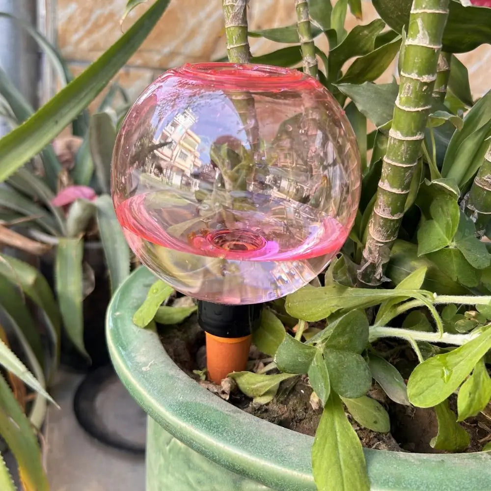 500ml Plant Watering Bulbs Plastic Convenience Water Penetrating Device Self-Irrigation Globular Automatic Watering Ball Vue