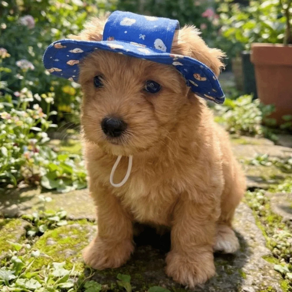 Adjustable Dog Fisherman Hat Breathable Cartoon Print Cat Bucket Hat UV Protection with Ear Hole Cat Sunscreen Hat Puppy Vue