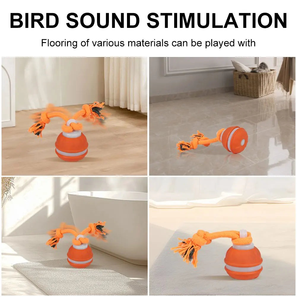 Motion-Activated USB Rechargeable Rolling Ball Dog Toy & Rope Interactive Dog Toy Vue