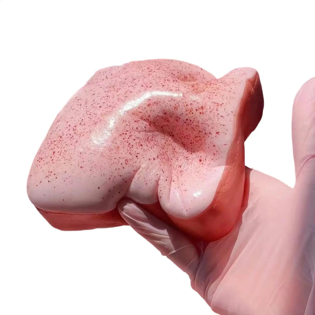 11cm Bread Squeeze Fidget Toy Soft Slow Rising Food Shape Relaxation For Adults Kids Classroom Home Dorm Office Anxiety Relief Vue