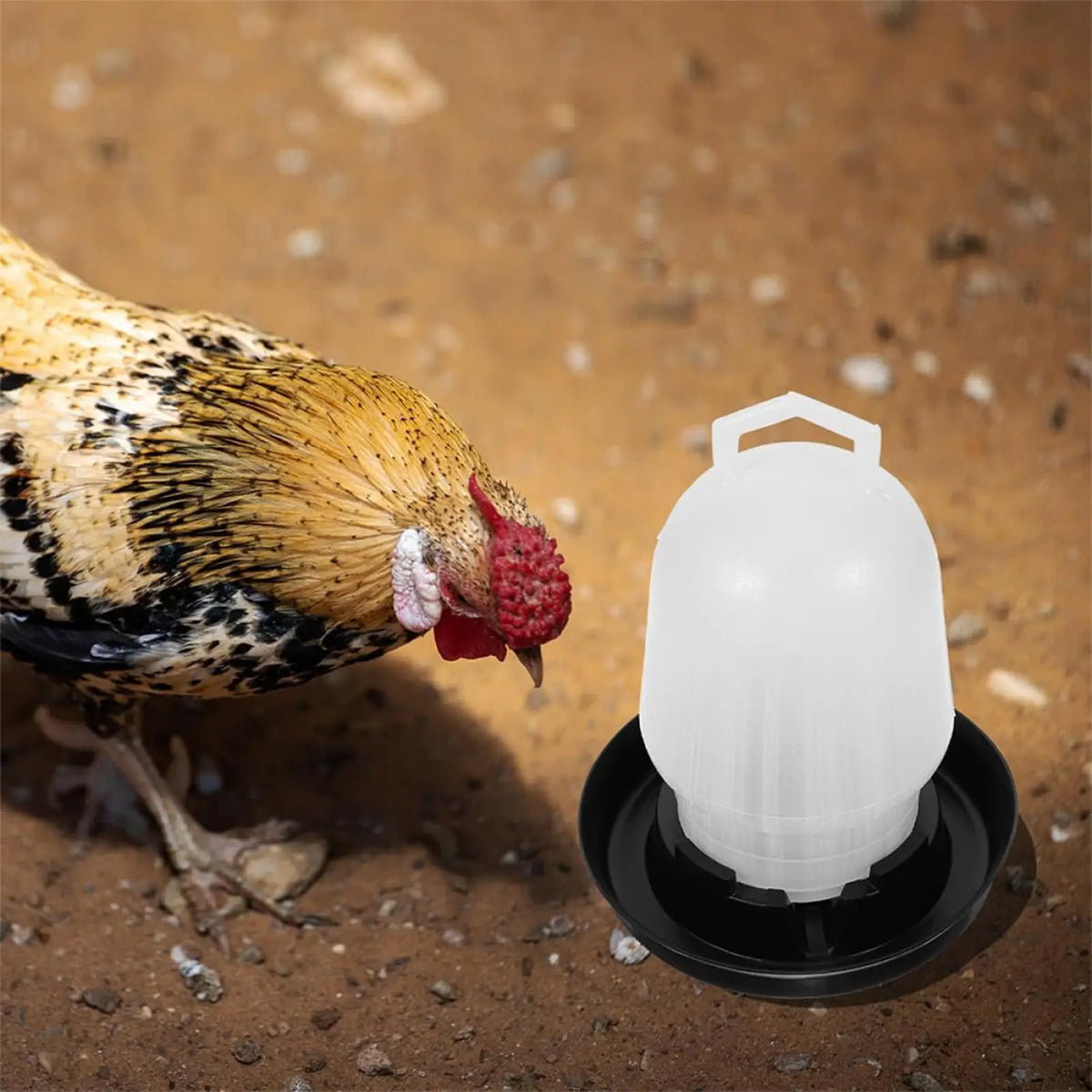Automatic Chicken Waterer Poultry Drinker for Duck Goose Pigeon Quail Livestock Coop Farm Feeding Drinking Vue