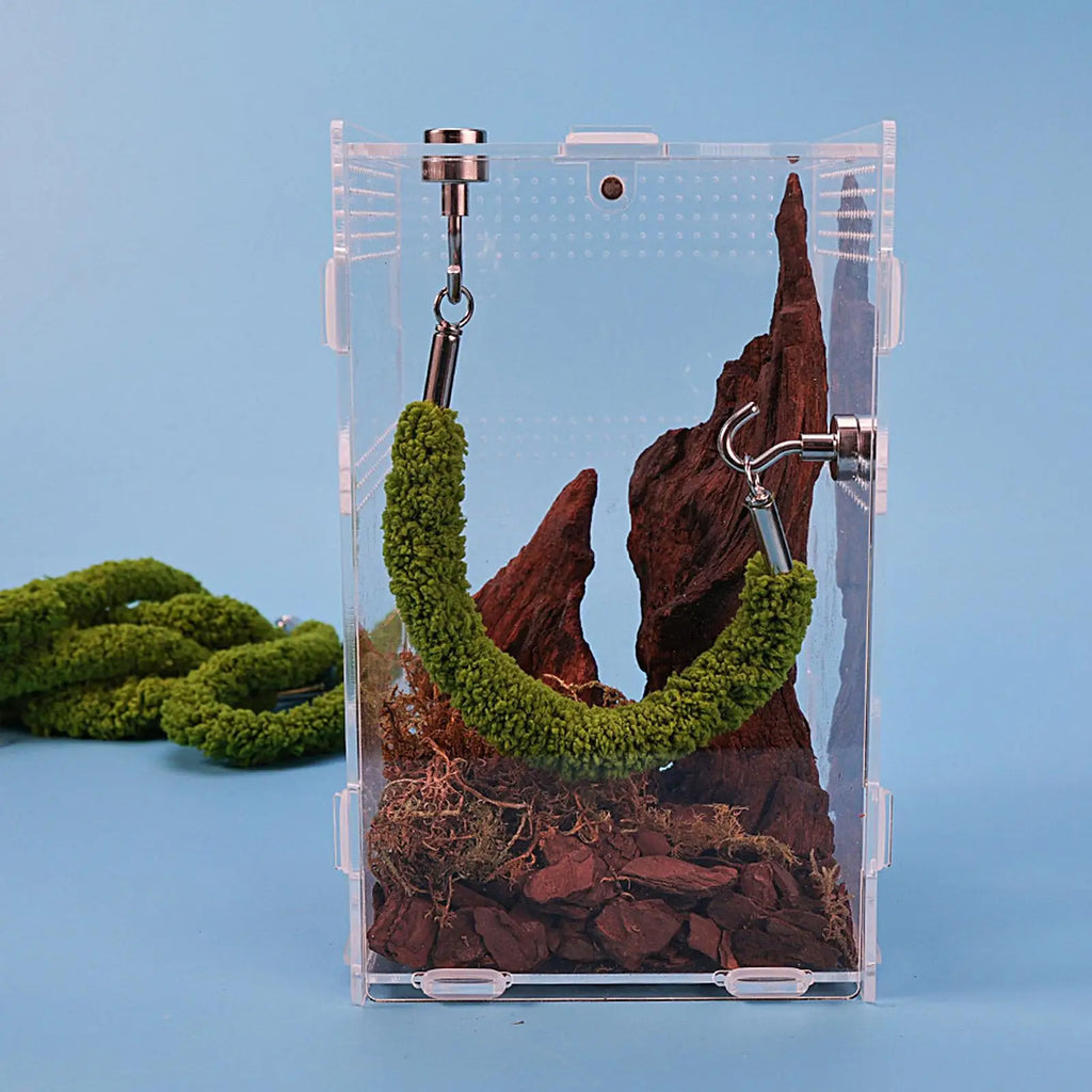 Jumping Spider Bridge Hermit Crab Climbing Supplies Spider Enclosure Bridge Swings for Pet Keepers Teachers Nature Lovers Vue