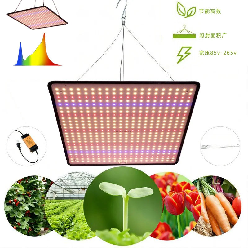 Full Spectrum LED Grow Light 1200W Growing Lamp for Indoor Veg and Bloom Phytolamp Greenhouse Flower Succulent Vue