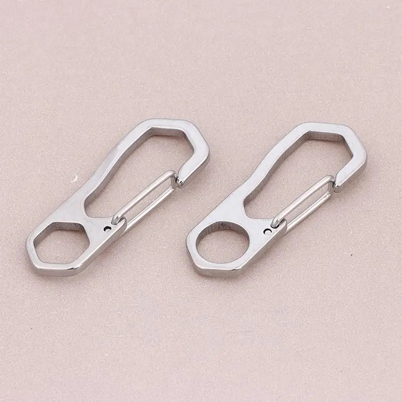 Stainless Steel Keychain Carabiner 2 5Pcs Rustproof Buckle Spring Clips for Outdoor Camping and Keys Holder Vue