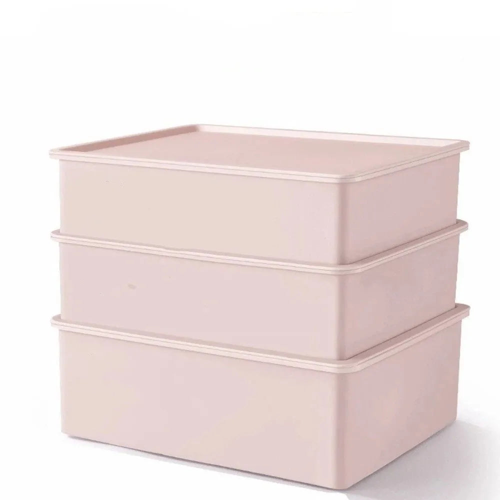 With Cover Underwear Storage Box Dustproof Stable Stacking Bra Drawer Organizer Multifunctional Socks Storage Box For Socks Vue