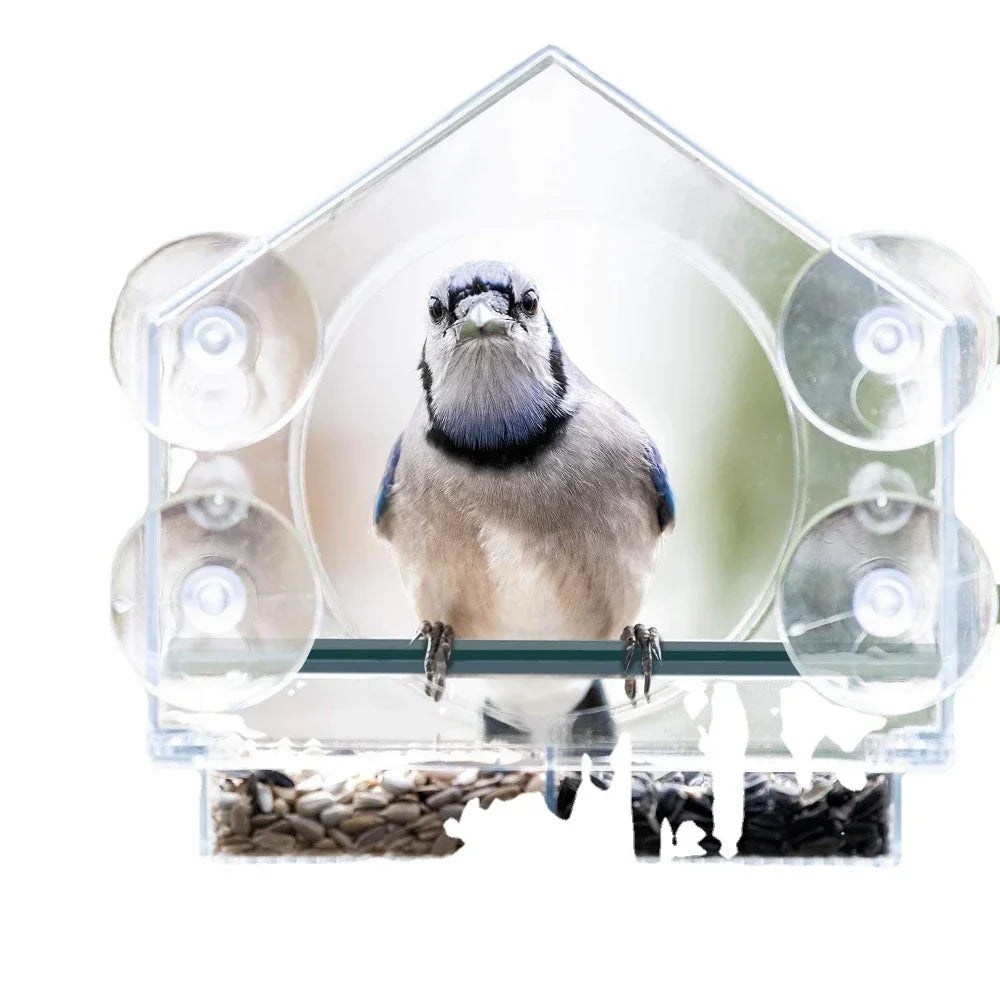 Acrylic Clear Window Glass Birds Hanging Feeder Birdhouse Food Feeding House Table Seed Cup Transparent Windowsill Birdfeeders Vue
