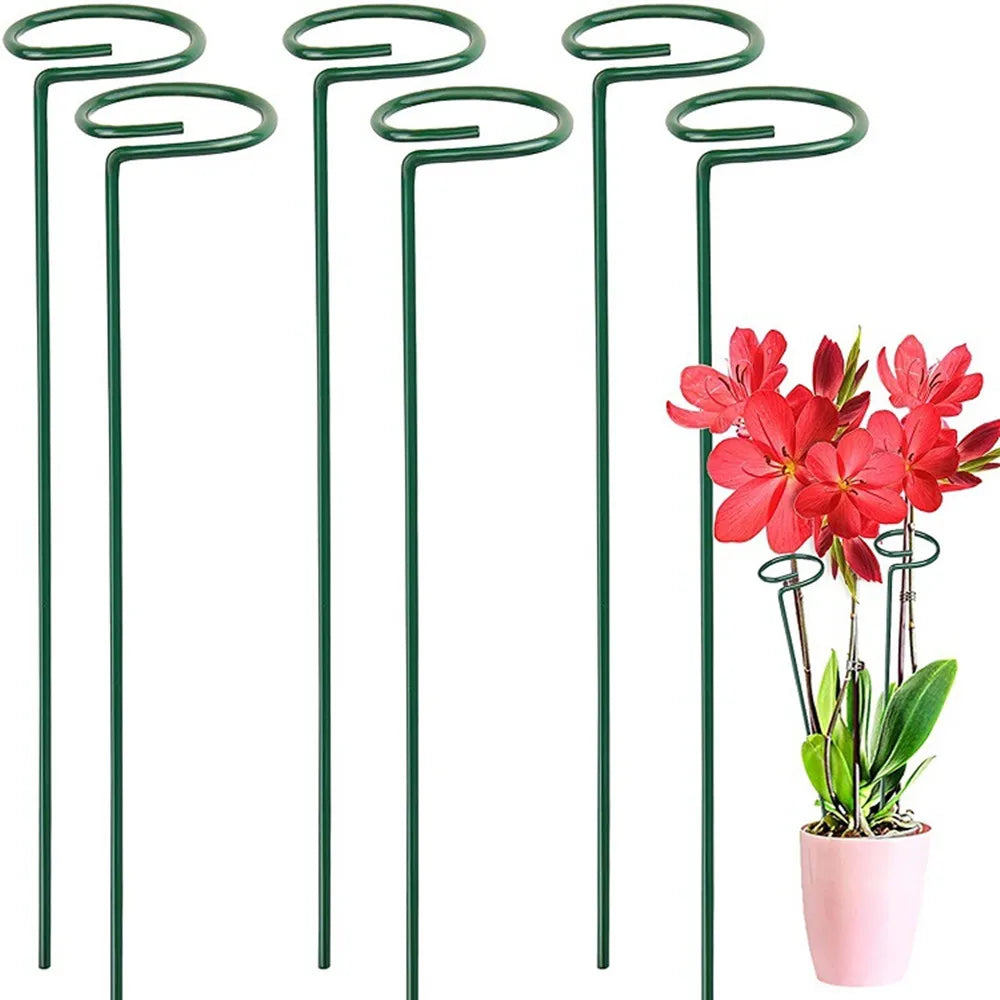 10pcs Climbing Potted Plant Support Sticks Indoor Outdoor Trellis Sunflower Vegetables Stem Training Guide Racks Vue Default Title