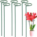 10pcs Climbing Potted Plant Support Sticks Indoor Outdoor Trellis Sunflower Vegetables Stem Training Guide Racks Vue Default Title