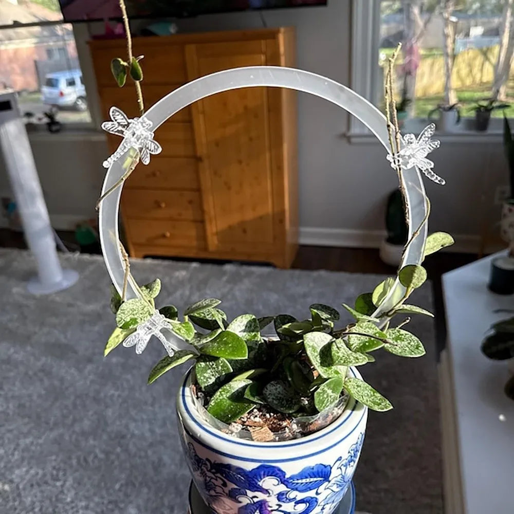 Transparent Acrylic Plant Bracket Round Shape Weather-resistant Climbing Plant Support Sturdy Plants Growth Stand Climbing Vines Vue