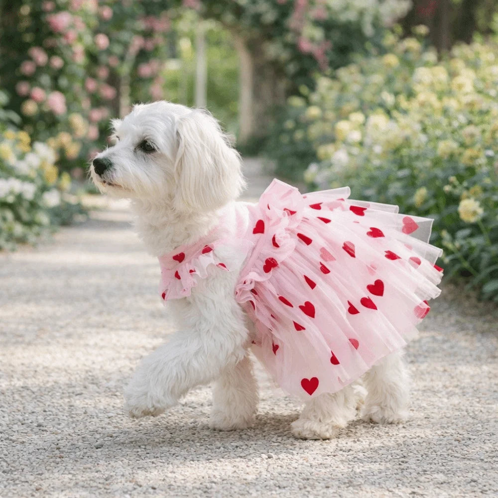Heart Printed Dog Tulle Skirt Thin Breathable Dreamy Pet Princess Dress Soft Ruffle Trim Love Pattern Dresses Pet Photography Vue