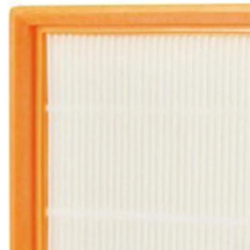 ABKW-Air Filter For Dust Capture Replacement For EGO AVF0900 And Power+ WDV0900 Wet/Dry Vacuums, For Improved Indoor Air Quality Vue