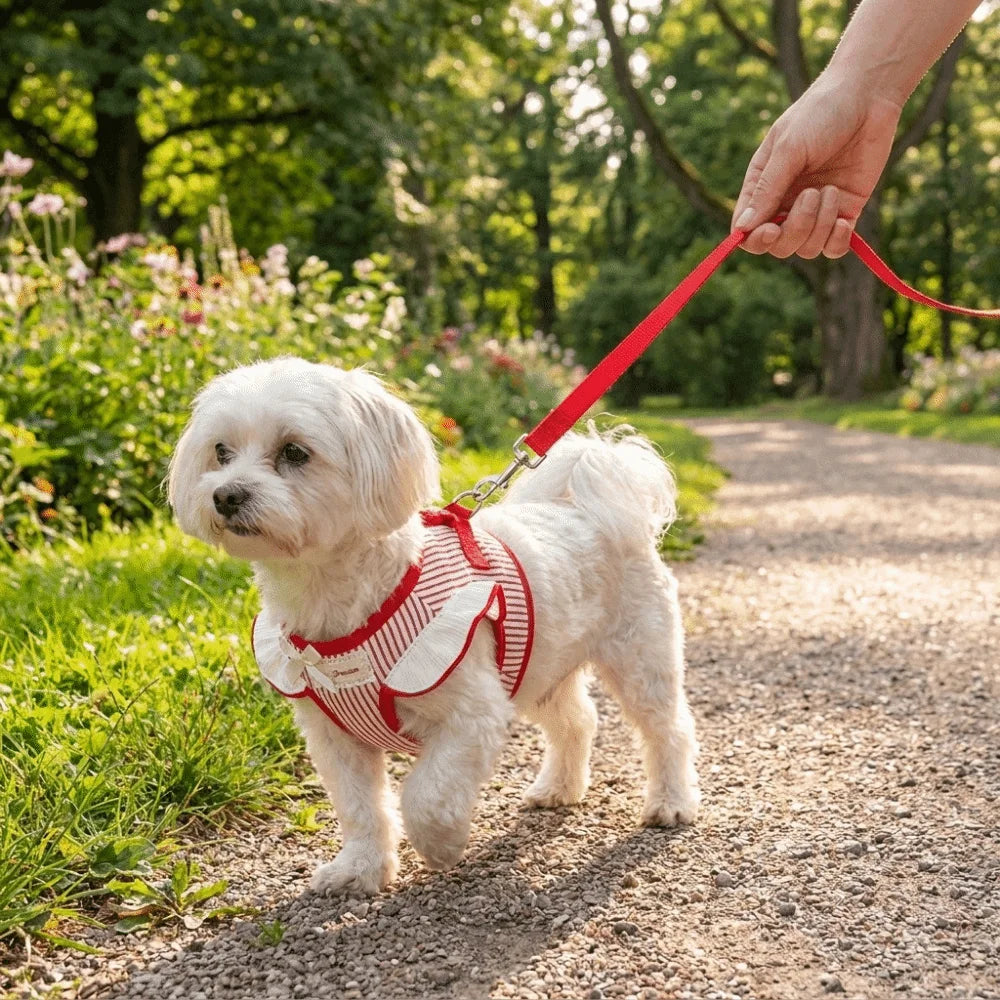 Adjustable Pet Harness Leash Comfortable Fit Escape-Proof Dog Vest Harness Lightweight Dog Collar Harness Set Outdoor Activities Vue
