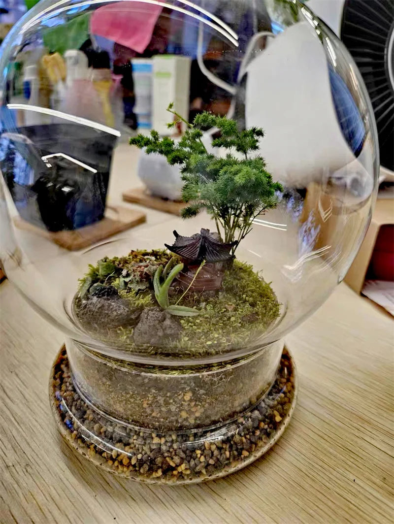 Split type Spherical Micro Landscape Vase Containers Desktop Glass Vase Green Moss Bansai Landscape Glass Terrarium Home Decor Vue