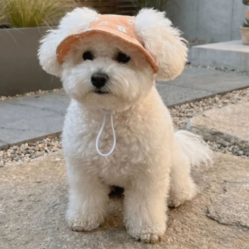 Adjustable Dog Fisherman Hat Breathable Cartoon Print Cat Bucket Hat UV Protection with Ear Hole Cat Sunscreen Hat Puppy Vue