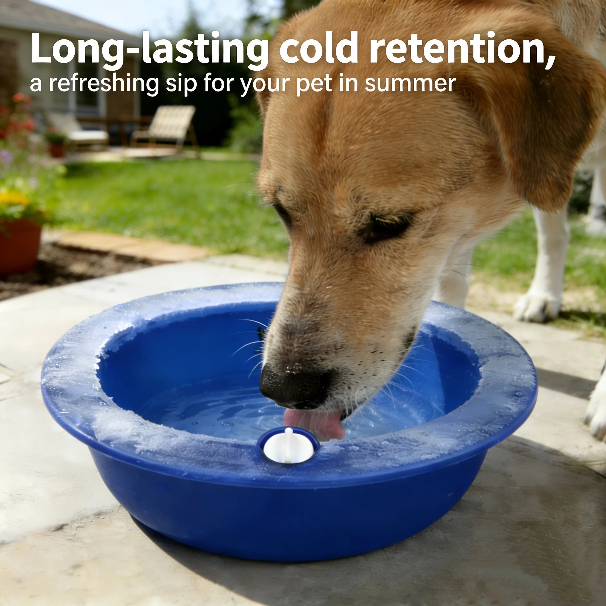 Pet Ice Bowl Cold Feeder Fill Freeze Long-lasting Cool Perfect Cats