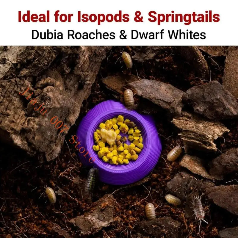 24-Pack Plastic Feeding Dishes for Reptiles, Isopods & Roaches Reptile Feeder Dishes Vue