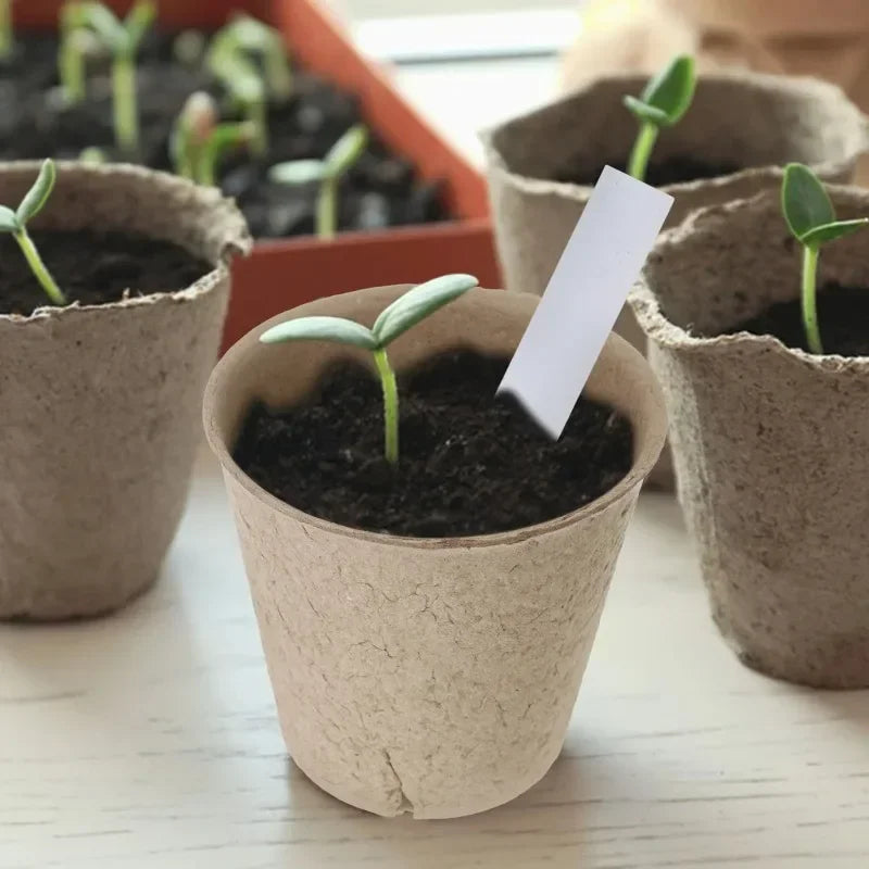20-160PCS ﻿ 3.15 Inch Biodegradable Paper Pulp Seedling Starter Trays for Garden Planting Nursery Seed Germination Transplanting Vue