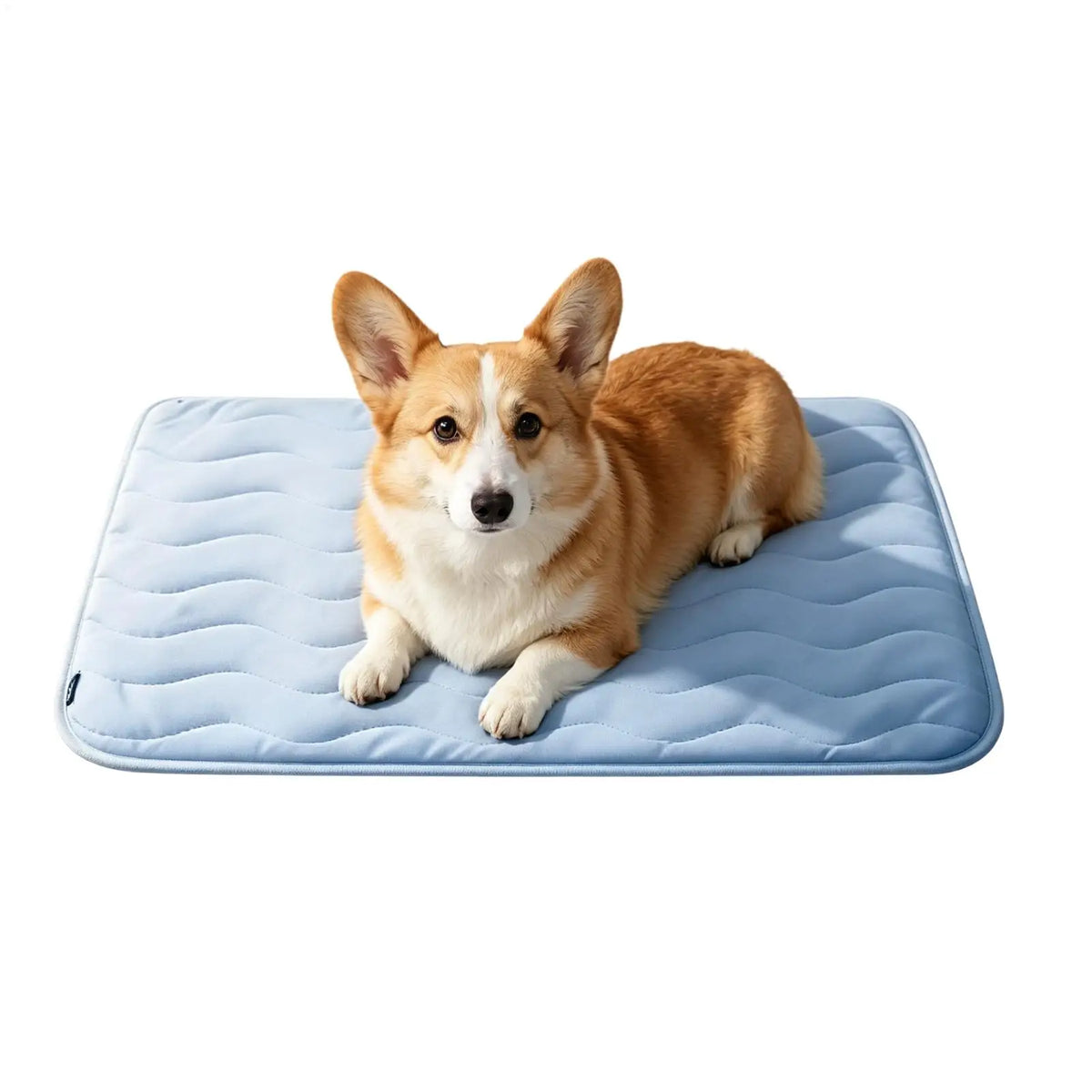 Breathable Washable Non-Slip Pet Cooling Mat, Summer Sleeping Pad for Cat Dog Puppy, Portable Floor Bed for Car Travel Crate Vue