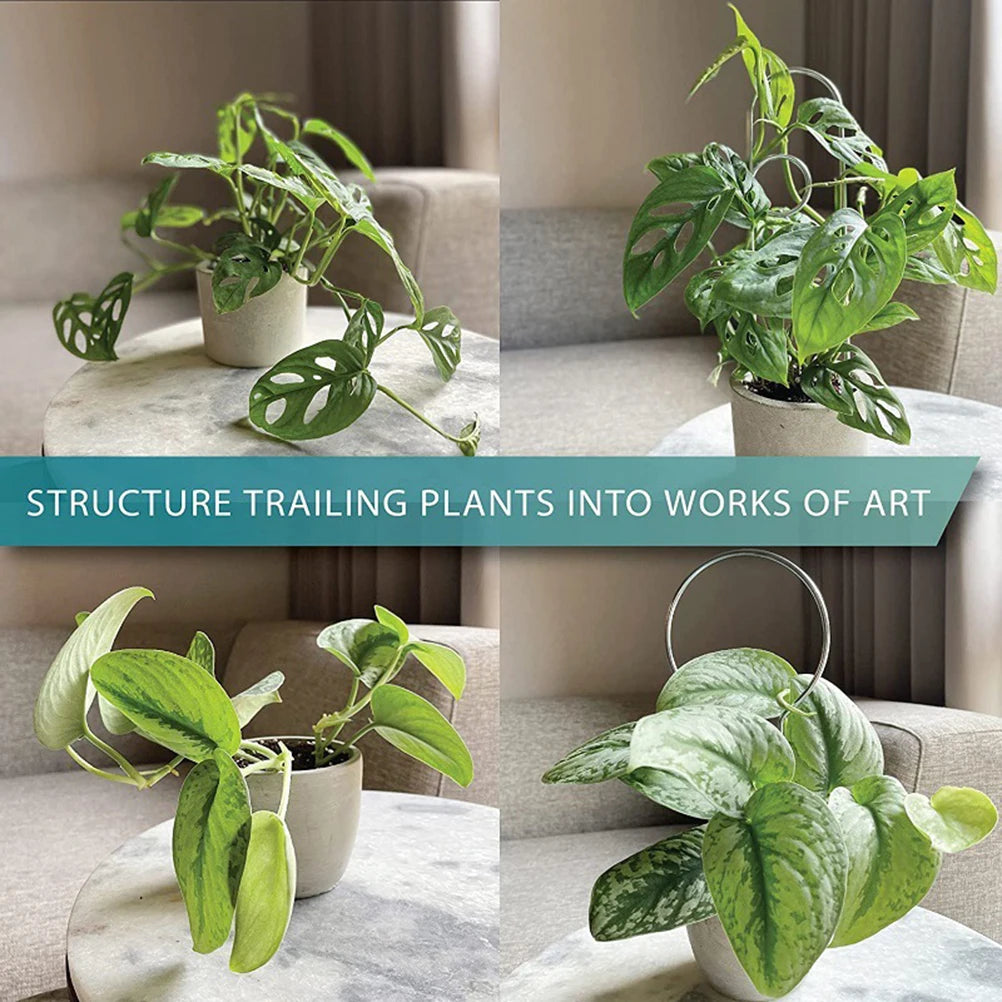 4PCS Iron Plant Climbing Frame Potted Flower Arrangement Support for Green Plants, Support Climbing Vines & Flowers Vue