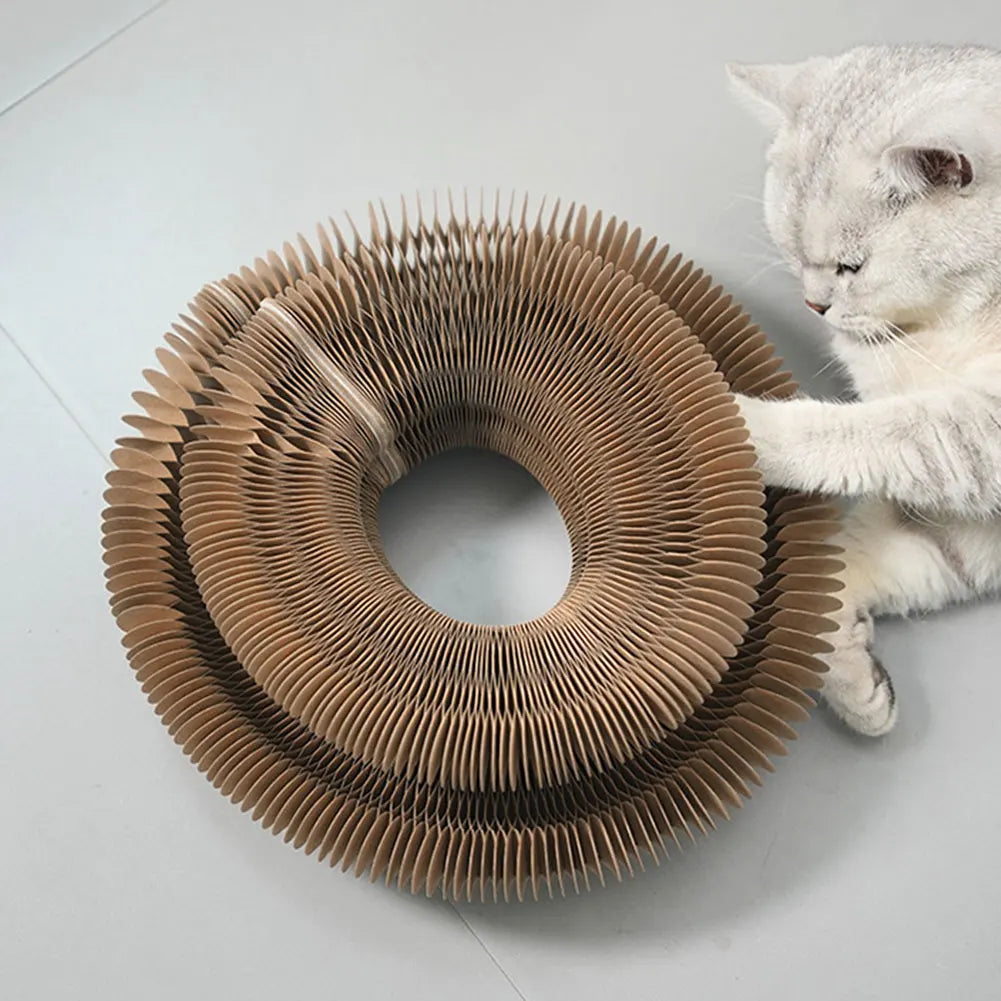 Foldable Accordion Cat Scratching Board & Interactive Toy Cat Scratcher Toy Vue