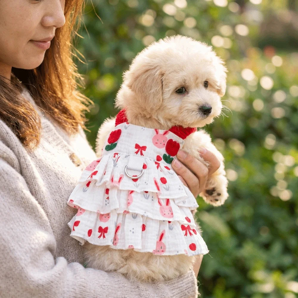 Soft Thin Breathable Dog Cake Skirt Comfortable Cotton Puppy Princess Skirt Cartoon Lightweight Summer Cat Clothes Indoor Vue