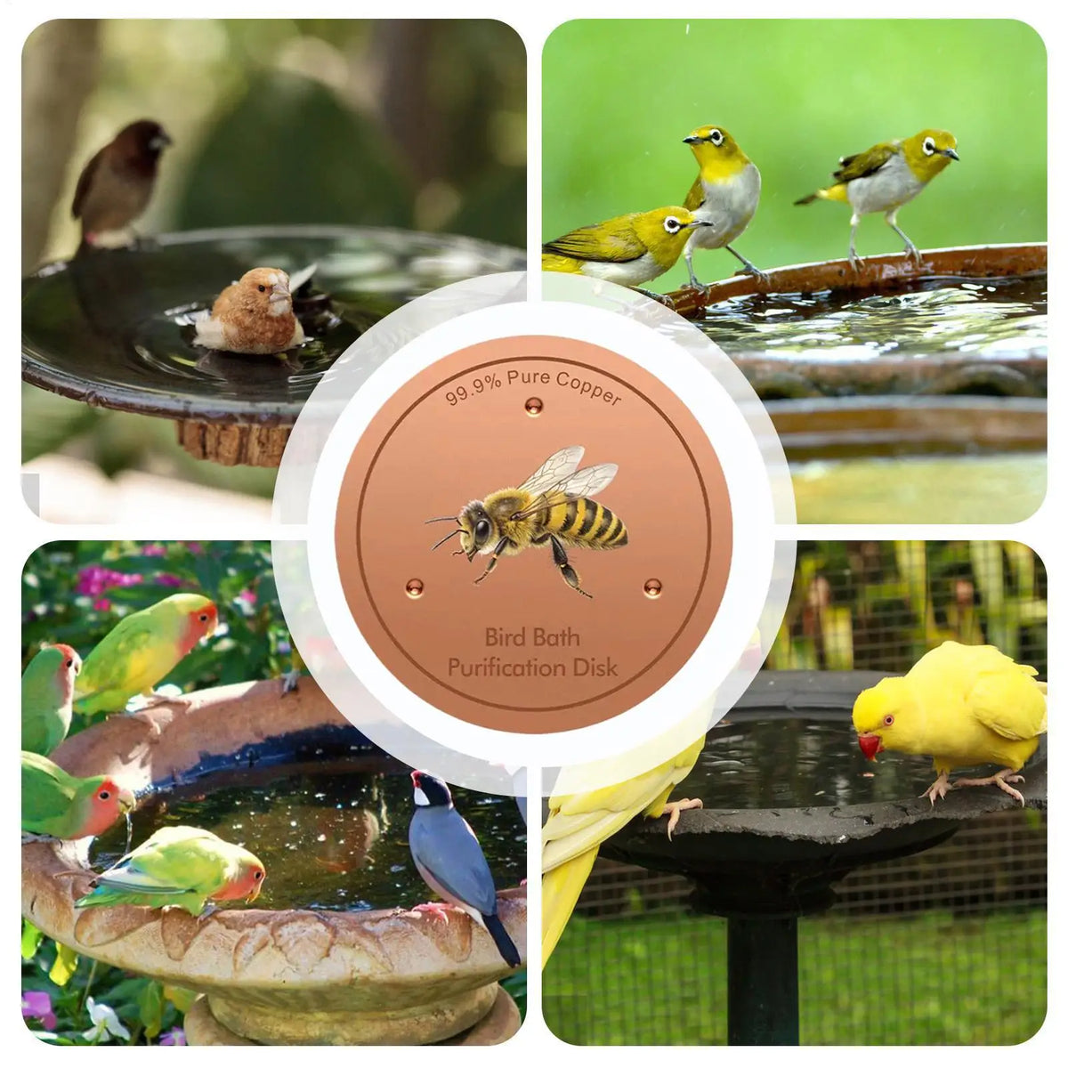 10cm Bee P attern Bird Bath Disc Fountain Purification Cleaner For Outdoor Garden Decorative Water Bowl Protector For Patio Deck Vue