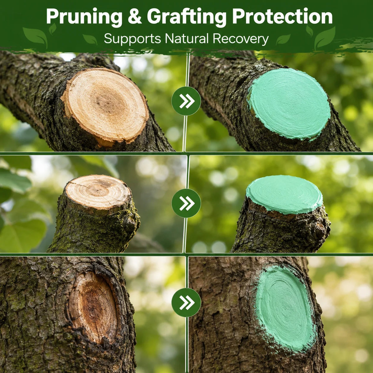 Tree Pruning Wound Dressing Kit 120g, Green Bark Sealing Paste with Applicator Brush and Gloves for Grafting and Shrub Care Vue