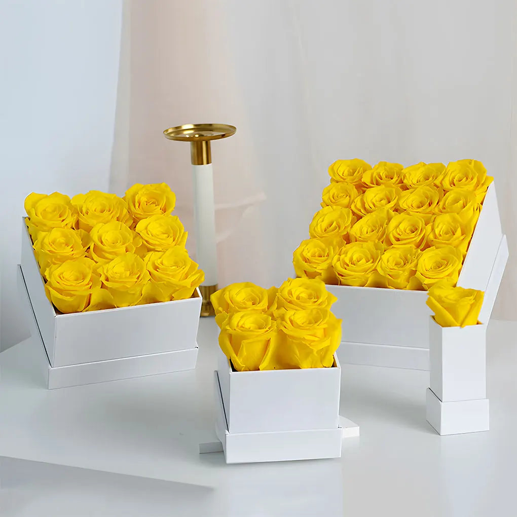 Preserved Rose Box Eternal Flower Immortal Roses Birthday Gift for Vue