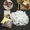 120-Piece Plastic Bee Cell Cup Queen Rearing Kit | Beekeeping Queen Rearing Kit Vue China Mainland