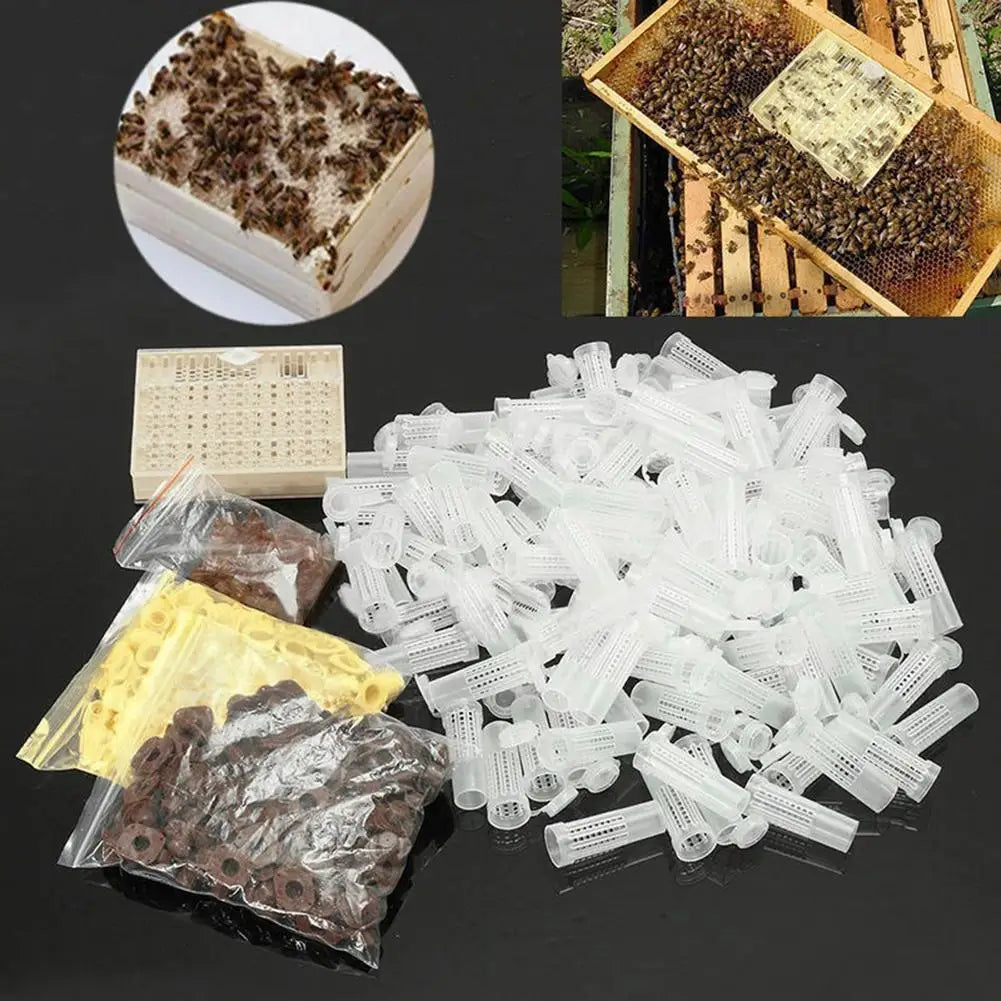 120-Piece Plastic Bee Cell Cup Queen Rearing Kit | Beekeeping Queen Rearing Kit Vue China Mainland