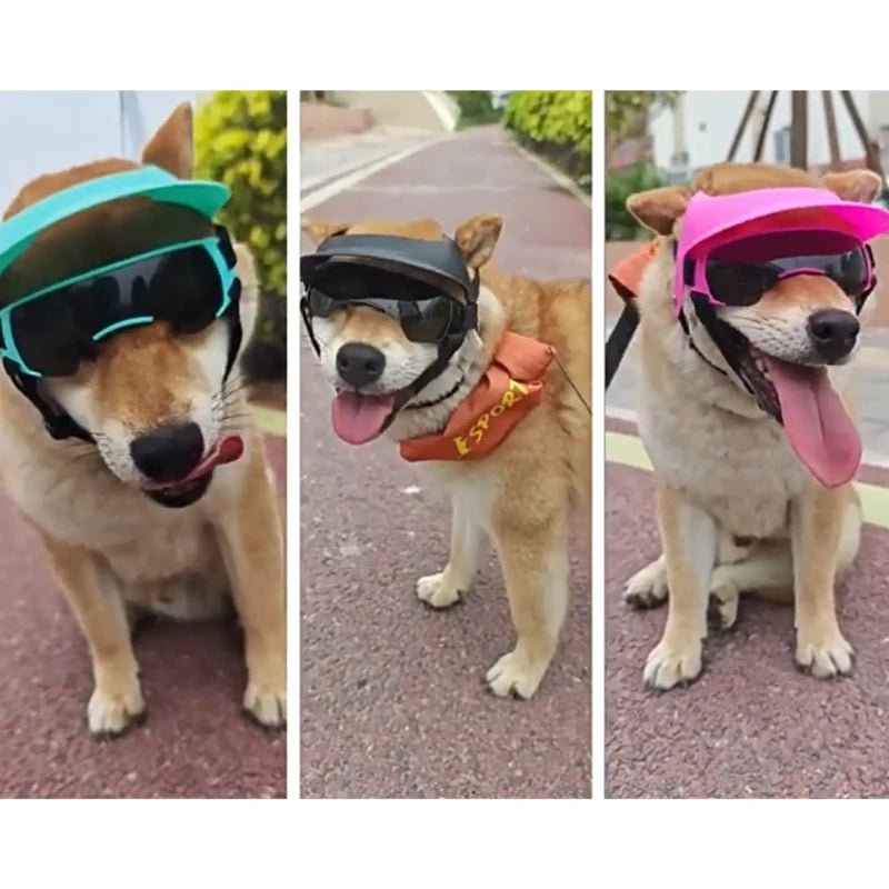 Dog Helmet & Goggles Set for Small Breeds | Adjustable Sun Hat Dog Helmet Goggles Set Vue