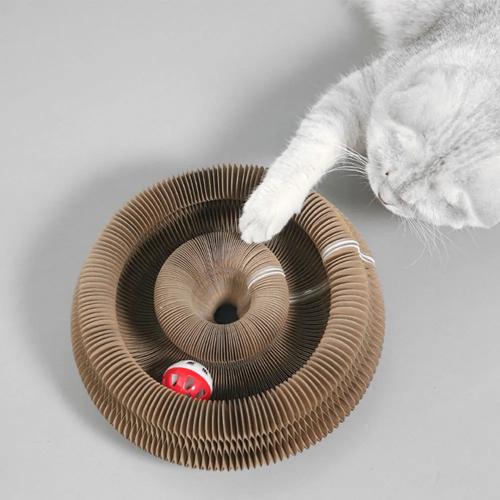 Foldable Accordion Cat Scratching Board & Interactive Toy Cat Scratcher Toy Vue
