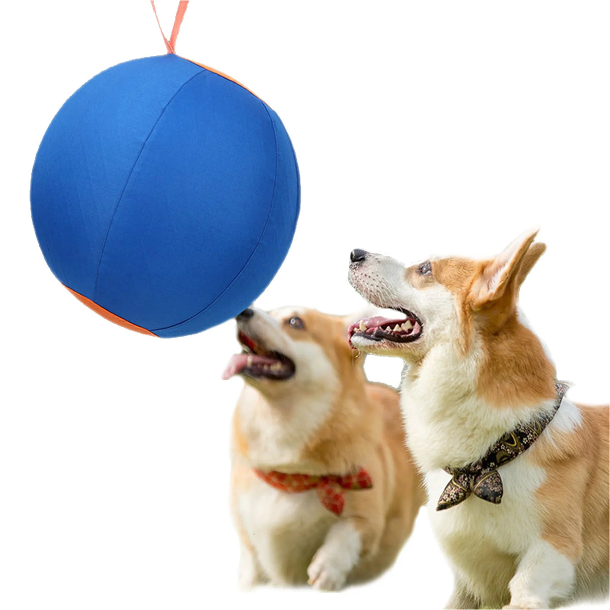 Dog Herding Ball – Tear-Resistant Inflatable Toy with Pump Inflatable Dog Toy Vue